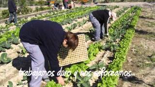 terremoto_lorca_video